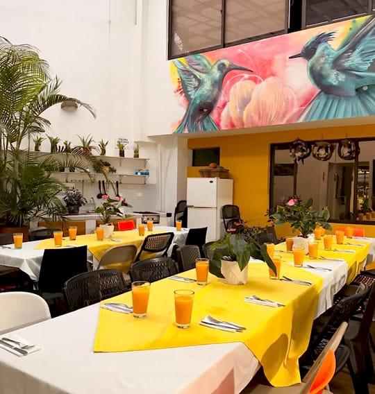 Comedor con mesas largas de manteles blancos y caminos amarillos, vasos de jugo servidos, plantas y, en lo alto, el mural de dos colibríes turquesa sobre una flor coral.