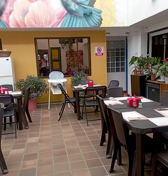 Patio comedor con mesas y sillas oscuras bajo el mural de colibríes, pared amarilla, plantas florecidas y las puertas de las habitaciones 202 y 203.
