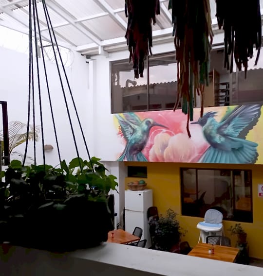 Patio interior visto desde el segundo piso: plantas colgantes, mural de dos colibríes turquesa sobre la pared amarilla, mesas y una silla alta para bebé.
