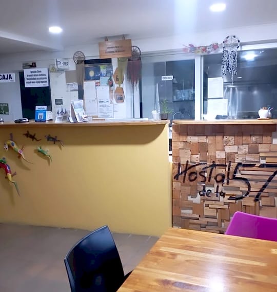 Recepción y caja: mostrador amarillo decorado con lagartijas de colores y una pared de bloques de madera con «Hostal de la 57» escrito a mano.