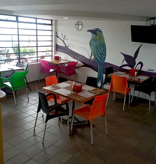 Salón del restaurante con un pájaro de cola larga pintado sobre una rama morada, mesas de madera y sillas naranja, fucsia, verdes y negras.
