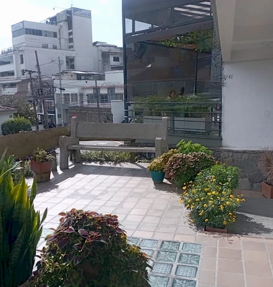 Rincón de la terraza con banca de piedra, plantas en materas, flores amarillas y piso con bloques de vidrio; al fondo, edificios del barrio.