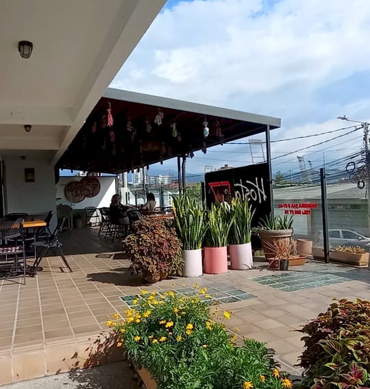 Terraza cubierta con piso de baldosa y bloques de vidrio, matas de lengua de suegra en materas rosadas, flores amarillas y vista a edificios y montañas.